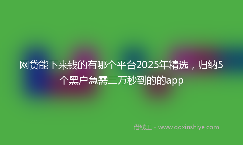 网贷能下来钱的有哪个平台2025年精选，归纳5个黑户急需三万秒到的的app