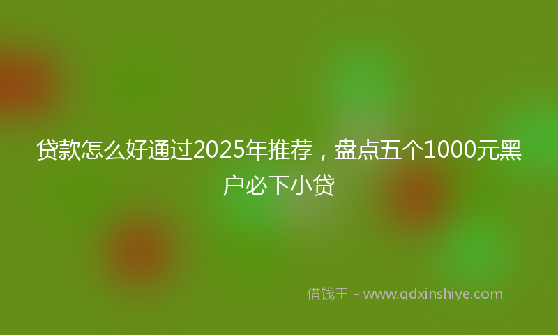 贷款怎么好通过2025年推荐，盘点五个1000元黑户必下小贷