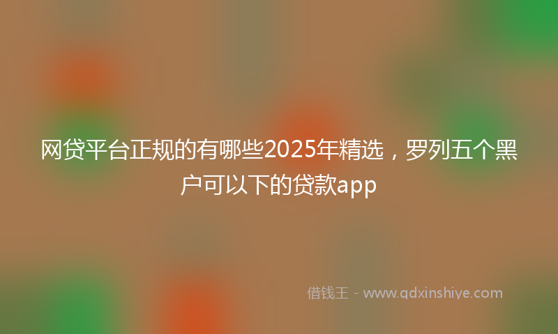 网贷平台正规的有哪些2025年精选，罗列五个黑户可以下的贷款app