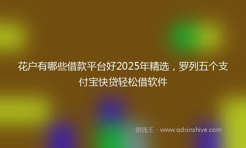 花户有哪些借款平台好2025年精选，罗列五个支付宝快贷轻松借软件