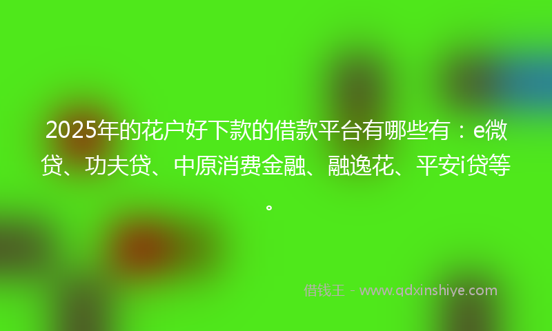 2025年的花户好下款的借款平台有哪些有：e微贷、功夫贷、中原消费金融、融逸花、平安i贷等。