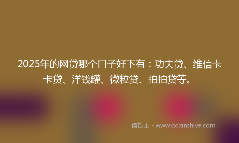 2025年的网贷哪个口子好下有：功夫贷、维信卡卡贷、洋钱罐、微粒贷、拍拍贷等。
