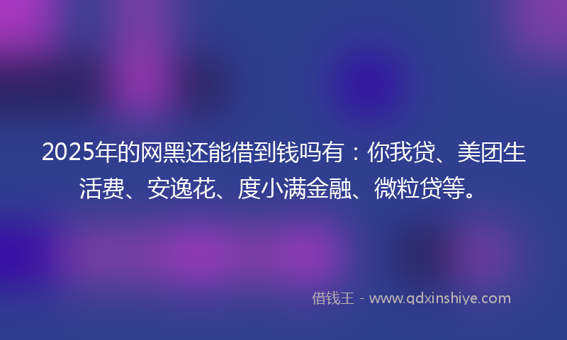 2025年的网黑还能借到钱吗有：你我贷、美团生活费、安逸花、度小满金融、微粒贷等。