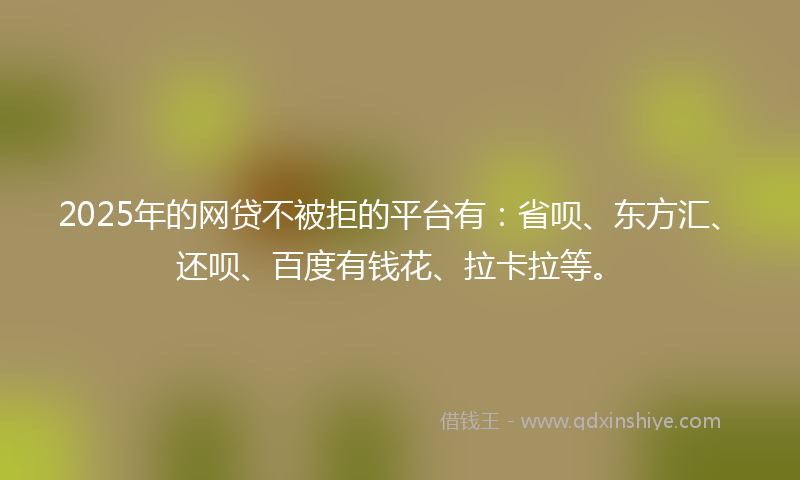 2025年的网贷不被拒的平台有：省呗、东方汇、还呗、百度有钱花、拉卡拉等。