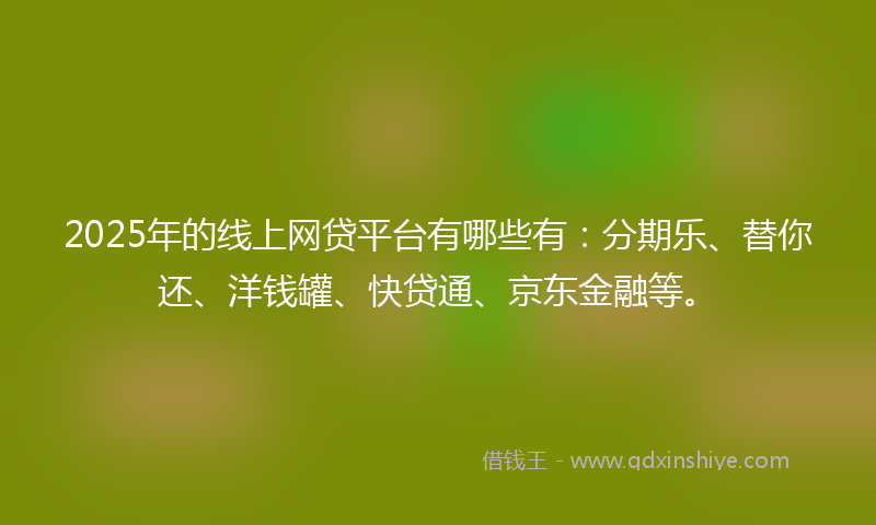2025年的线上网贷平台有哪些有：分期乐、替你还、洋钱罐、快贷通、京东金融等。