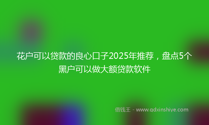 花户可以贷款的良心口子2025年推荐，盘点5个黑户可以做大额贷款软件
