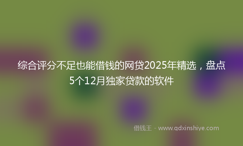 综合评分不足也能借钱的网贷2025年精选，盘点5个12月独家贷款的软件