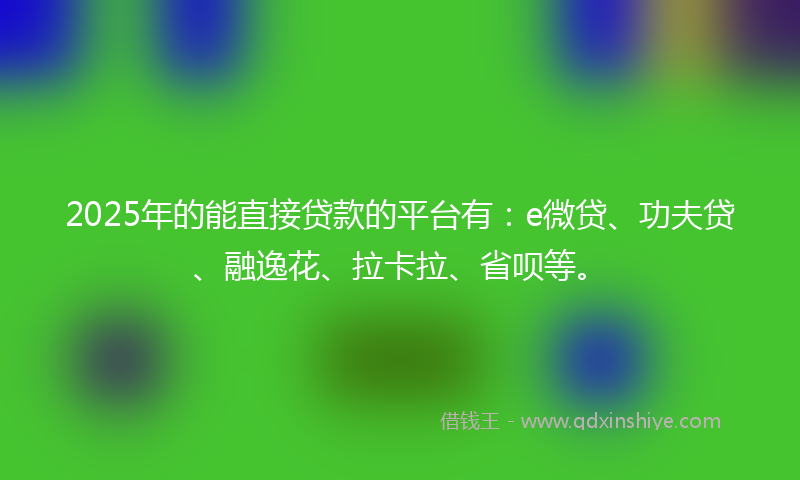 2025年的能直接贷款的平台有：e微贷、功夫贷、融逸花、拉卡拉、省呗等。