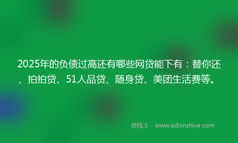 2025年的负债过高还有哪些网贷能下有：替你还、拍拍贷、51人品贷、随身贷、美团生活费等。