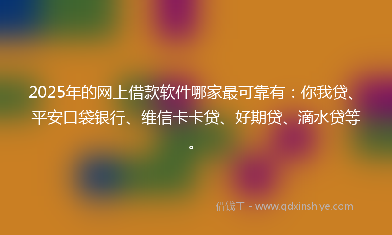 2025年的网上借款软件哪家最可靠有：你我贷、平安口袋银行、维信卡卡贷、好期贷、滴水贷等。