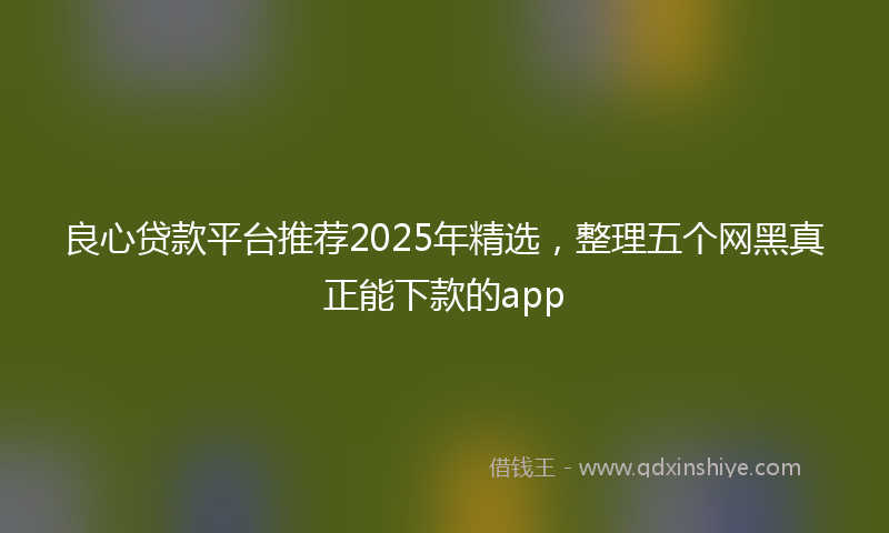 良心贷款平台推荐2025年精选，整理五个网黑真正能下款的app