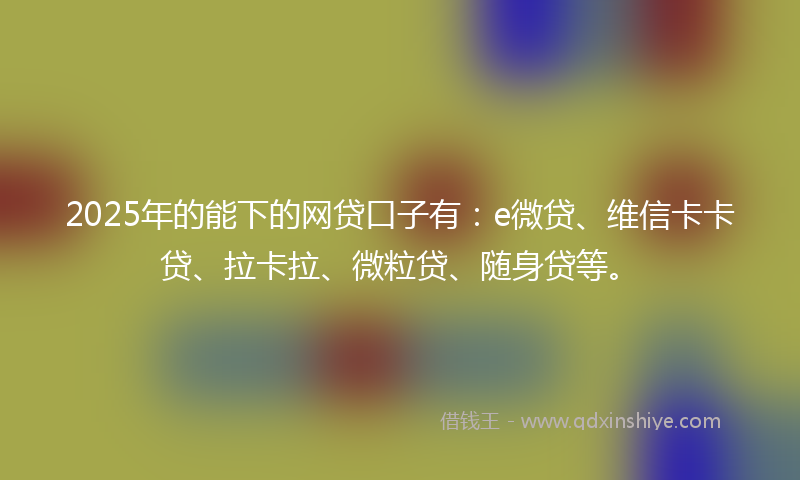 2025年的能下的网贷口子有：e微贷、维信卡卡贷、拉卡拉、微粒贷、随身贷等。