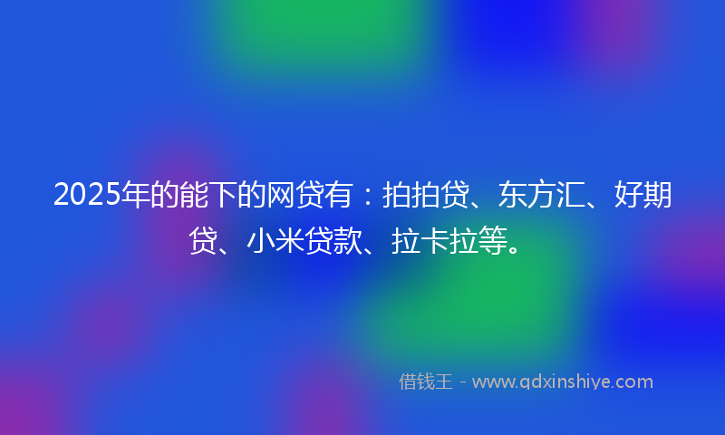 2025年的能下的网贷有：拍拍贷、东方汇、好期贷、小米贷款、拉卡拉等。