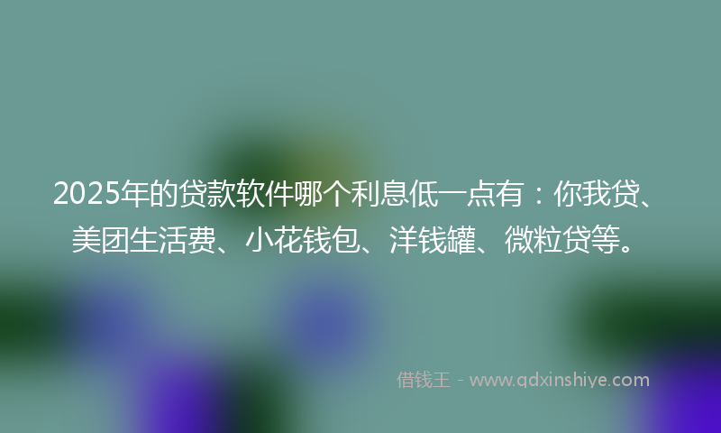 2025年的贷款软件哪个利息低一点有：你我贷、美团生活费、小花钱包、洋钱罐、微粒贷等。