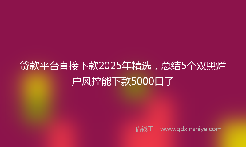 贷款平台直接下款2025年精选，总结5个双黑烂户风控能下款5000口子