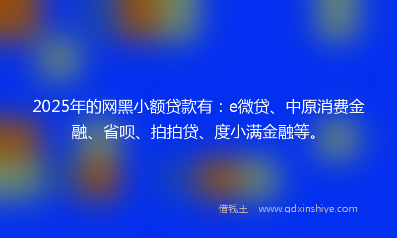 2025年的网黑小额贷款有：e微贷、中原消费金融、省呗、拍拍贷、度小满金融等。