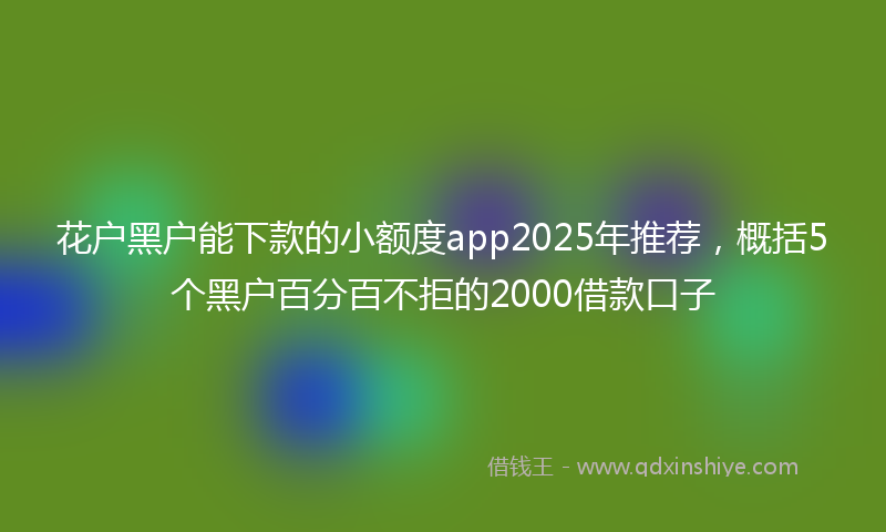 花户黑户能下款的小额度app2025年推荐，概括5个黑户百分百不拒的2000借款口子