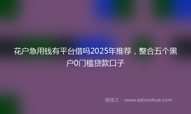 花户急用钱有平台借吗2025年推荐，整合五个黑户0门槛贷款口子