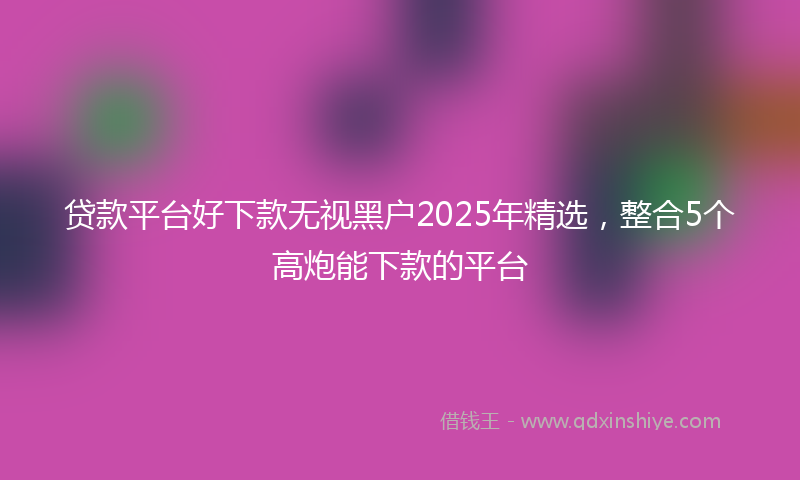贷款平台好下款无视黑户2025年精选，整合5个高炮能下款的平台