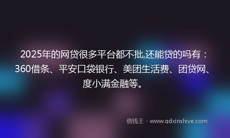 2025年的网贷很多平台都不批,还能贷的吗有：360借条、平安口袋银行、美团生活费、团贷网、度小满金融等。