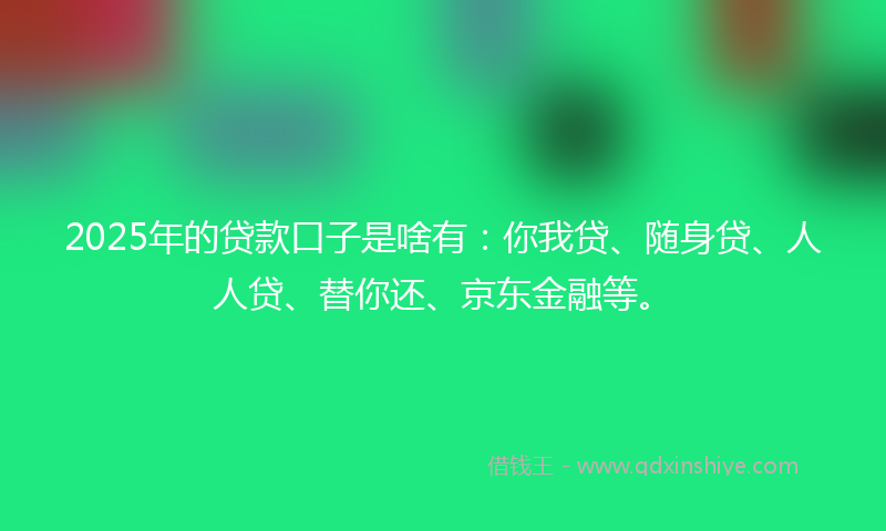 2025年的贷款口子是啥有：你我贷、随身贷、人人贷、替你还、京东金融等。