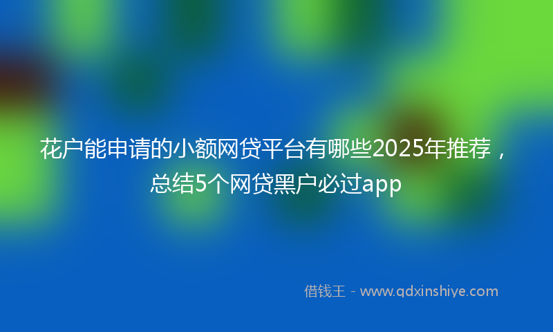 花户能申请的小额网贷平台有哪些2025年推荐，总结5个网贷黑户必过app