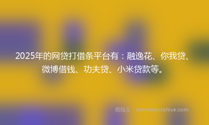 2025年的网贷打借条平台有：融逸花、你我贷、微博借钱、功夫贷、小米贷款等。