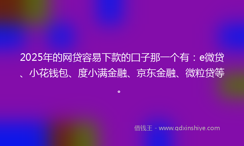 2025年的网贷容易下款的囗子那一个有：e微贷、小花钱包、度小满金融、京东金融、微粒贷等。