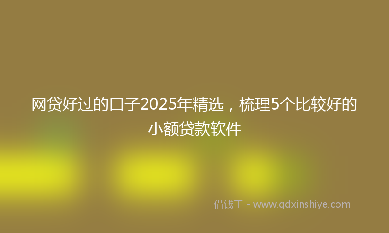 网贷好过的口子2025年精选，梳理5个比较好的小额贷款软件