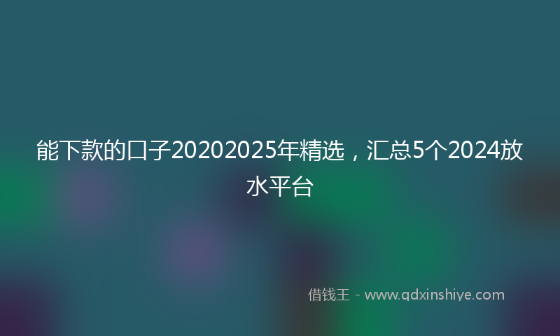 能下款的口子20202025年精选，汇总5个2024放水平台