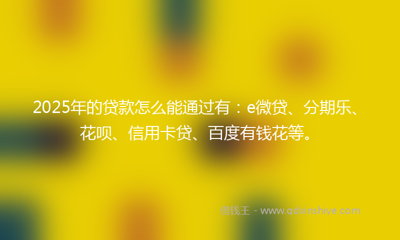 2025年的贷款怎么能通过有：e微贷、分期乐、花呗、信用卡贷、百度有钱花等。