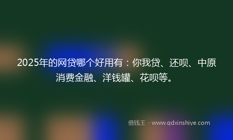 2025年的网贷哪个好用有：你我贷、还呗、中原消费金融、洋钱罐、花呗等。