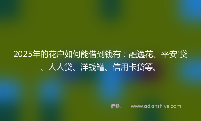 2025年的花户如何能借到钱有:融逸花、平安i贷、人人贷、洋钱罐、信用卡贷等。