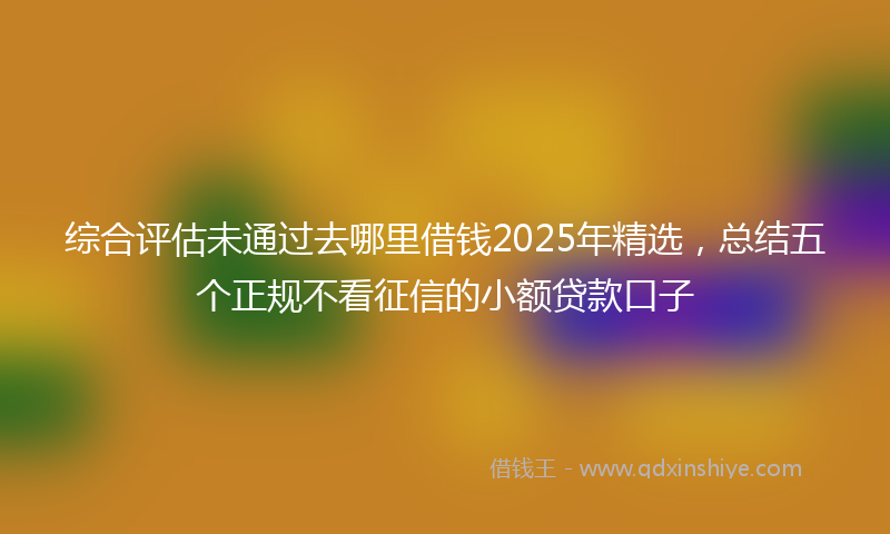 综合评估未通过去哪里借钱2025年精选，总结五个正规不看征信的小额贷款口子