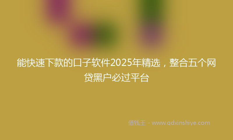能快速下款的口子软件2025年精选，整合五个网贷黑户必过平台