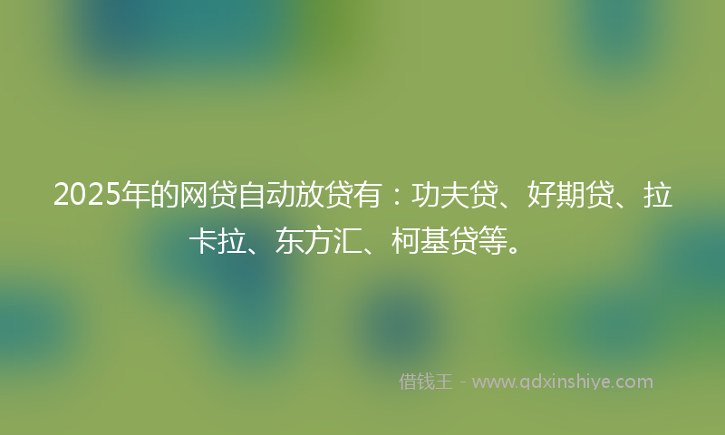 2025年的网贷自动放贷有：功夫贷、好期贷、拉卡拉、东方汇、柯基贷等。