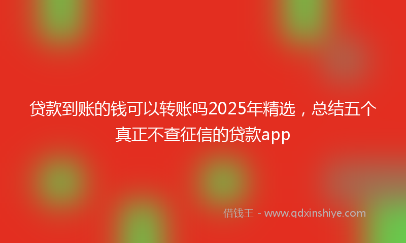 贷款到账的钱可以转账吗2025年精选，总结五个真正不查征信的贷款app