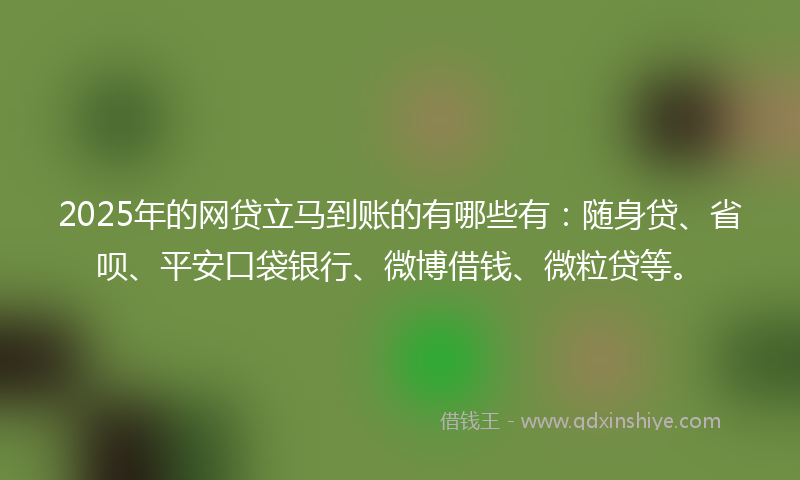 2025年的网贷立马到账的有哪些有：随身贷、省呗、平安口袋银行、微博借钱、微粒贷等。