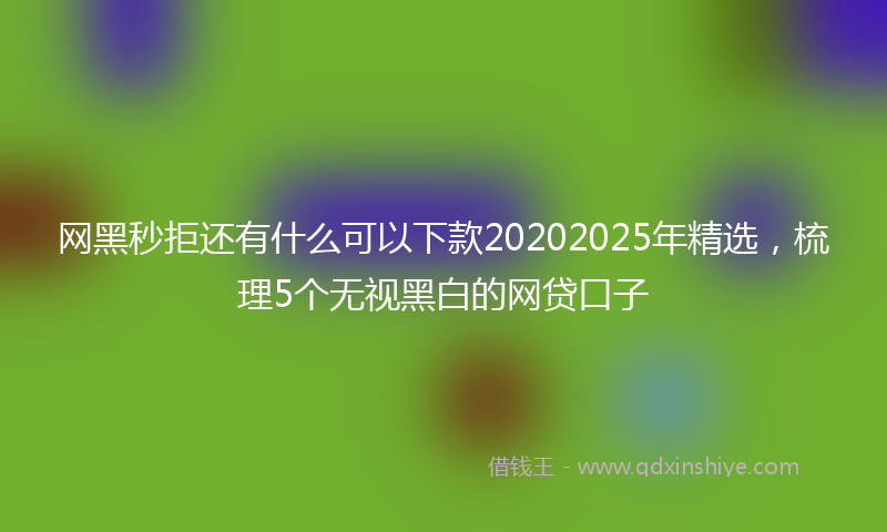 网黑秒拒还有什么可以下款20202025年精选，梳理5个无视黑白的网贷口子