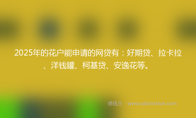 2025年的花户能申请的网贷有：好期贷、拉卡拉、洋钱罐、柯基贷、安逸花等。