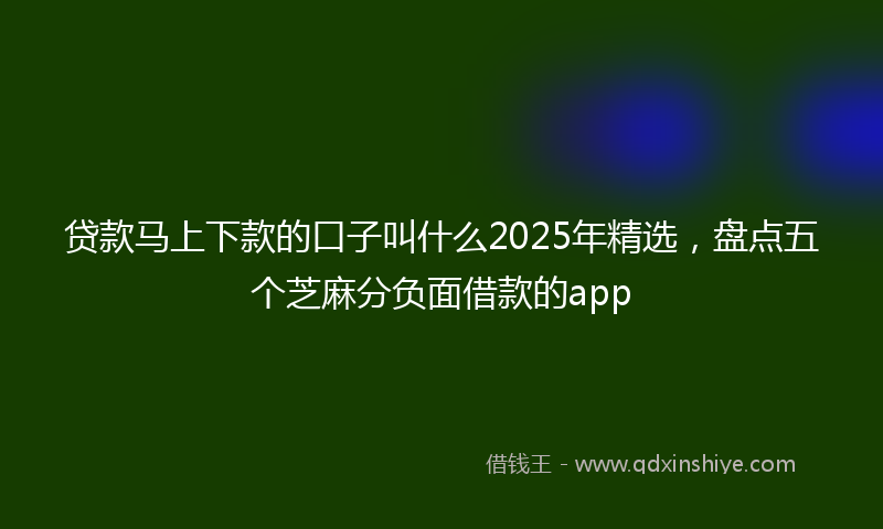 贷款马上下款的口子叫什么2025年精选，盘点五个芝麻分负面借款的app