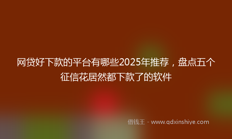 网贷好下款的平台有哪些2025年推荐，盘点五个征信花居然都下款了的软件