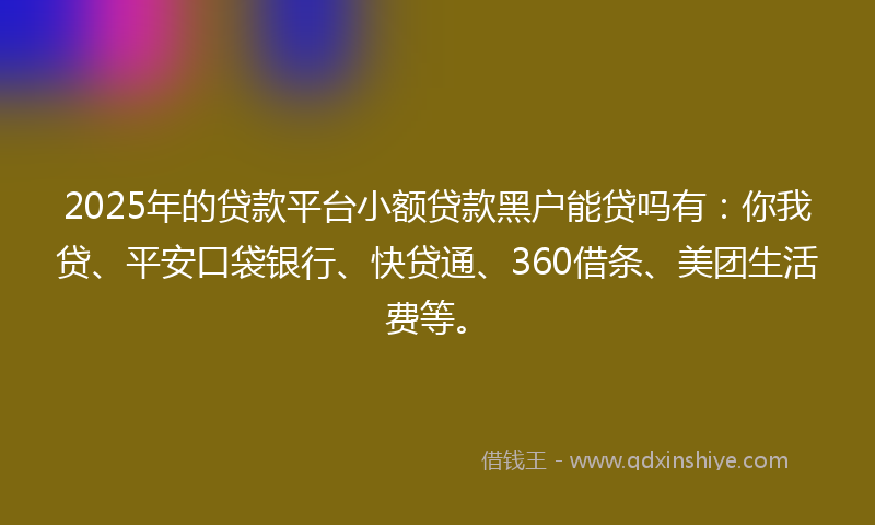 2025年的贷款平台小额贷款黑户能贷吗有：你我贷、平安口袋银行、快贷通、360借条、美团生活费等。