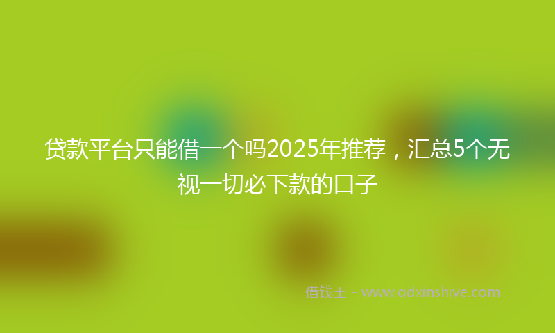贷款平台只能借一个吗2025年推荐，汇总5个无视一切必下款的口子
