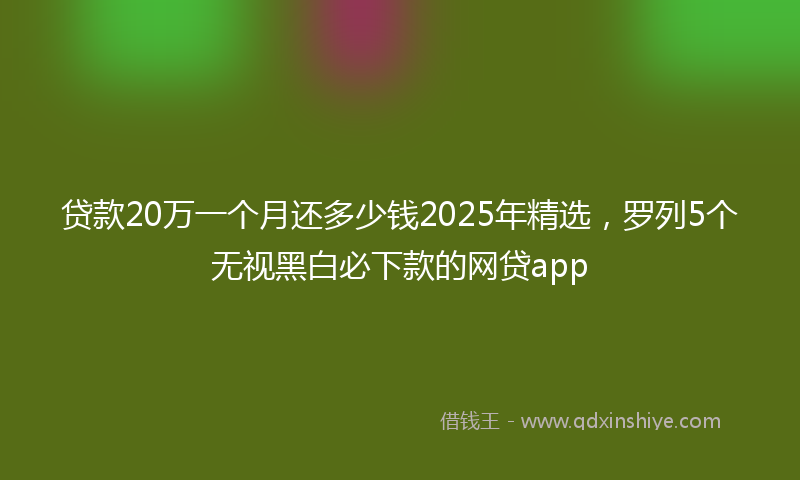 贷款20万一个月还多少钱2025年精选，罗列5个无视黑白必下款的网贷app
