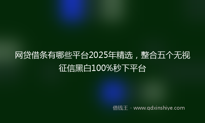 网贷借条有哪些平台2025年精选，整合五个无视征信黑白100%秒下平台