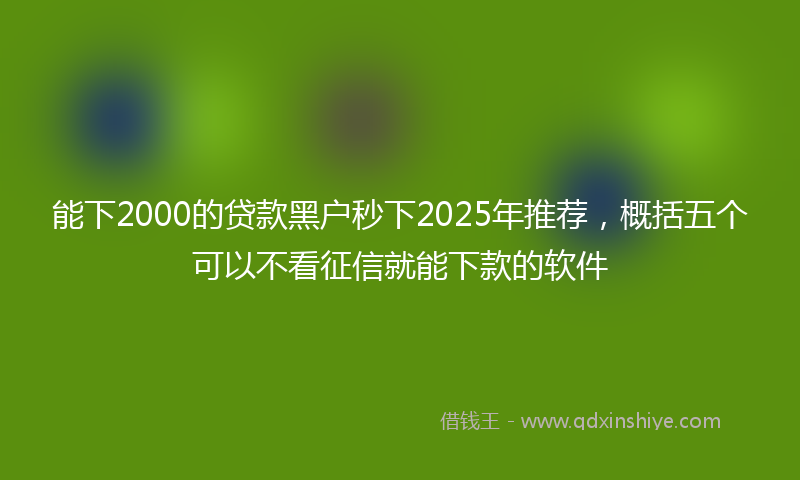 能下2000的贷款黑户秒下2025年推荐，概括五个可以不看征信就能下款的软件