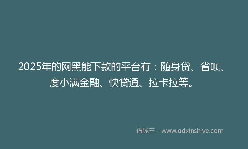 2025年的网黑能下款的平台有：随身贷、省呗、度小满金融、快贷通、拉卡拉等。