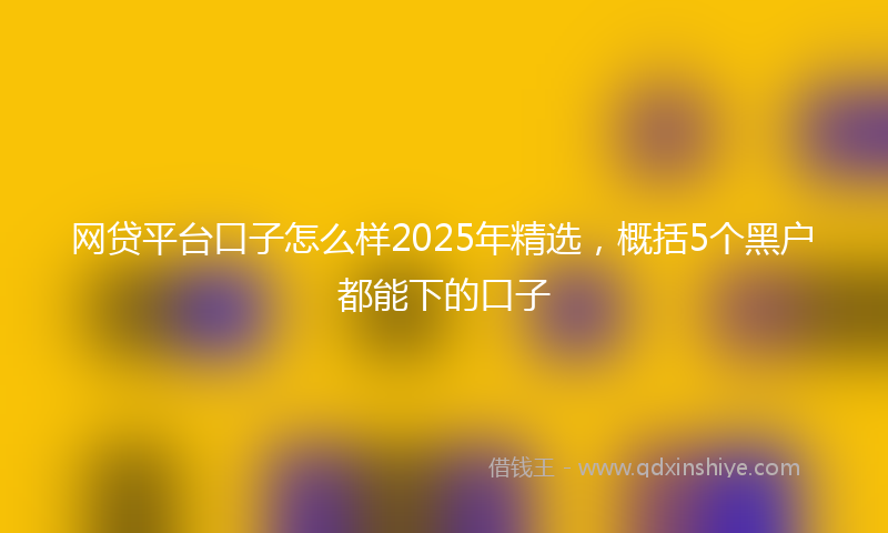 网贷平台口子怎么样2025年精选，概括5个黑户都能下的口子