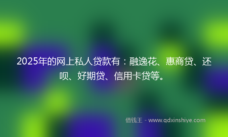 2025年的网上私人贷款有：融逸花、惠商贷、还呗、好期贷、信用卡贷等。